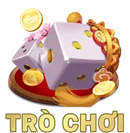 Luyện tập và học hỏi kinh nghiệm